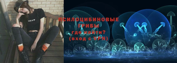 прущие грибы Ладушкин