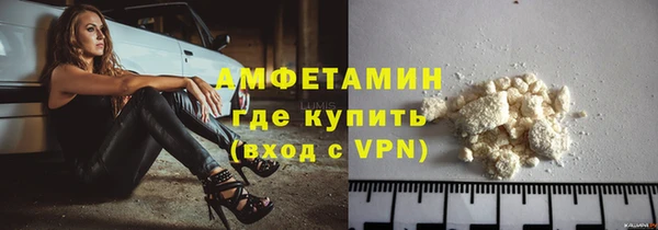прущие грибы Ладушкин