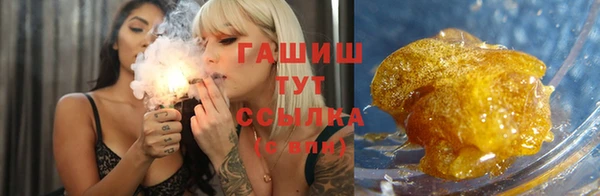 прущие грибы Ладушкин