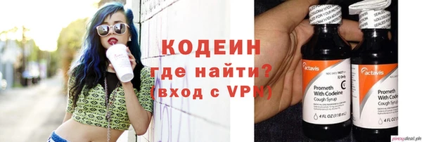 прущие грибы Ладушкин