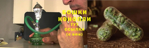 прущие грибы Ладушкин