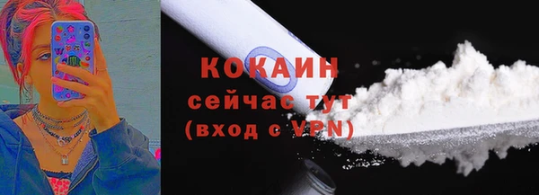 бошки Лагань
