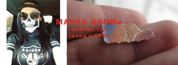 прущие грибы Ладушкин