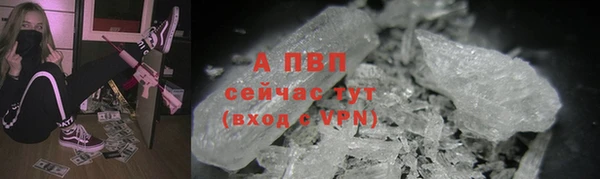 прущие грибы Ладушкин