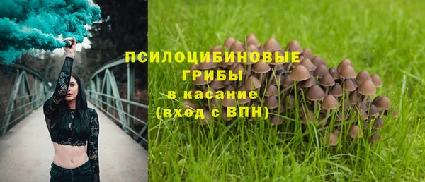 2c-b Лабытнанги
