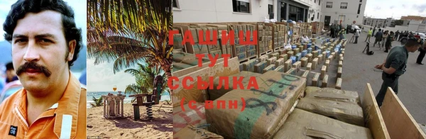 прущие грибы Ладушкин