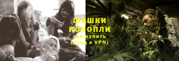 прущие грибы Ладушкин