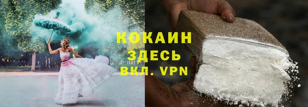 прущие грибы Ладушкин